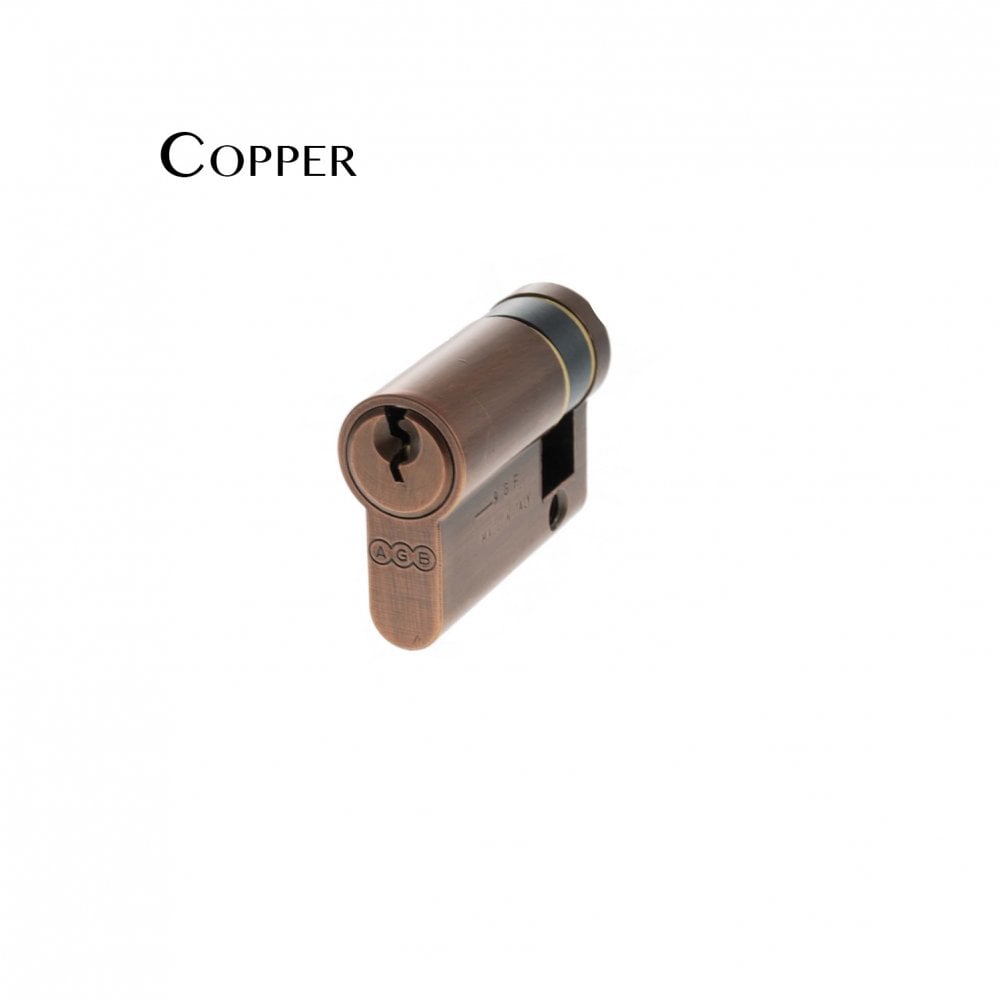 British Standard Euro Profile Single Cylinder