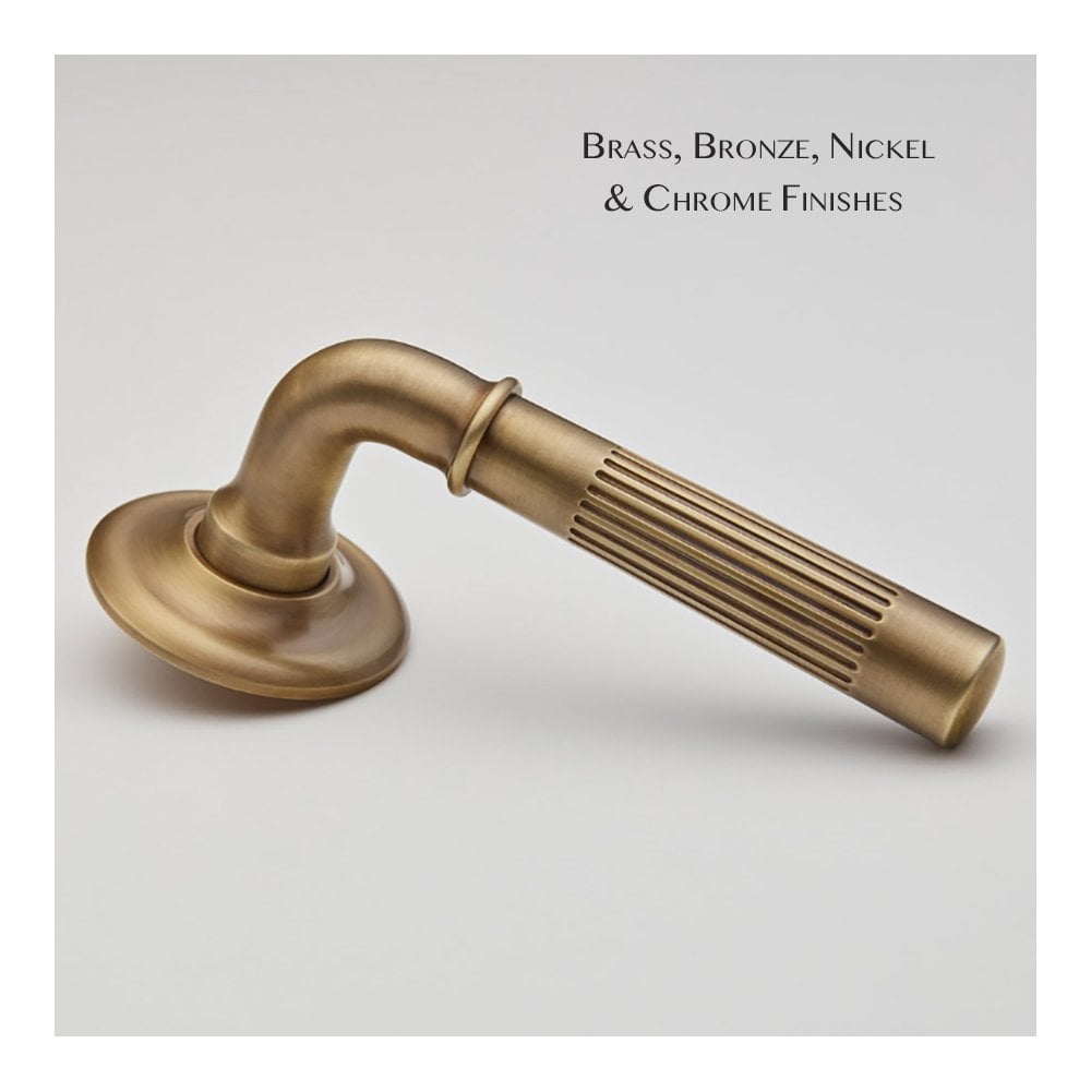 Brooklands Lever on a Covered Rose
