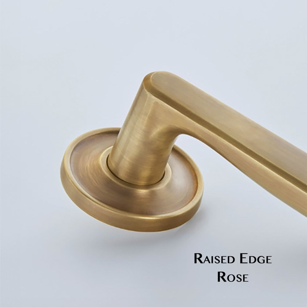 Brooklands Lever on a Covered Rose