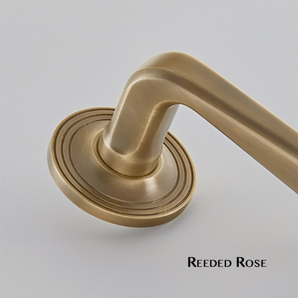 Brooklands Lever on a Covered Rose