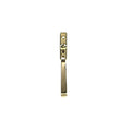 Avon Polished Brass Espagnolette Fastener