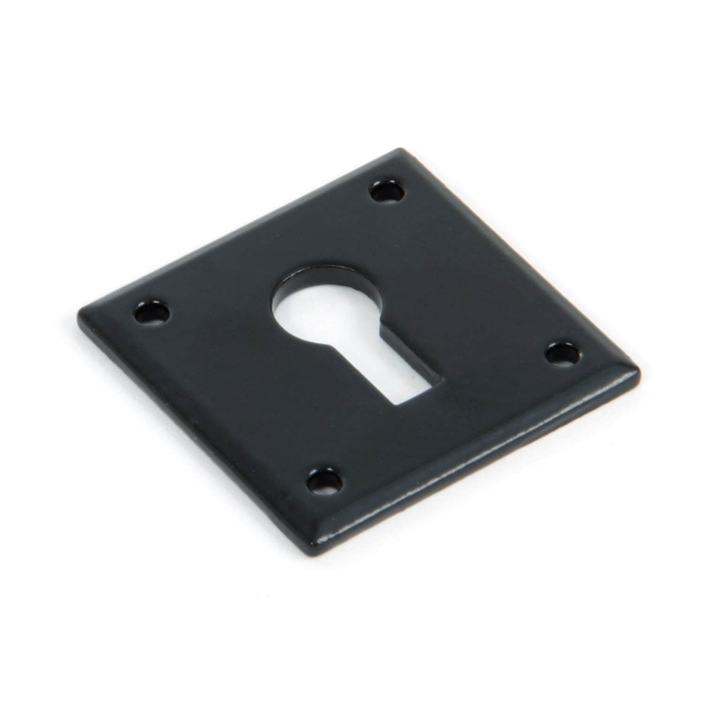 Black or Pewter Avon Escutcheons