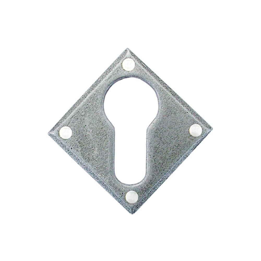 Black or Pewter Avon Escutcheons