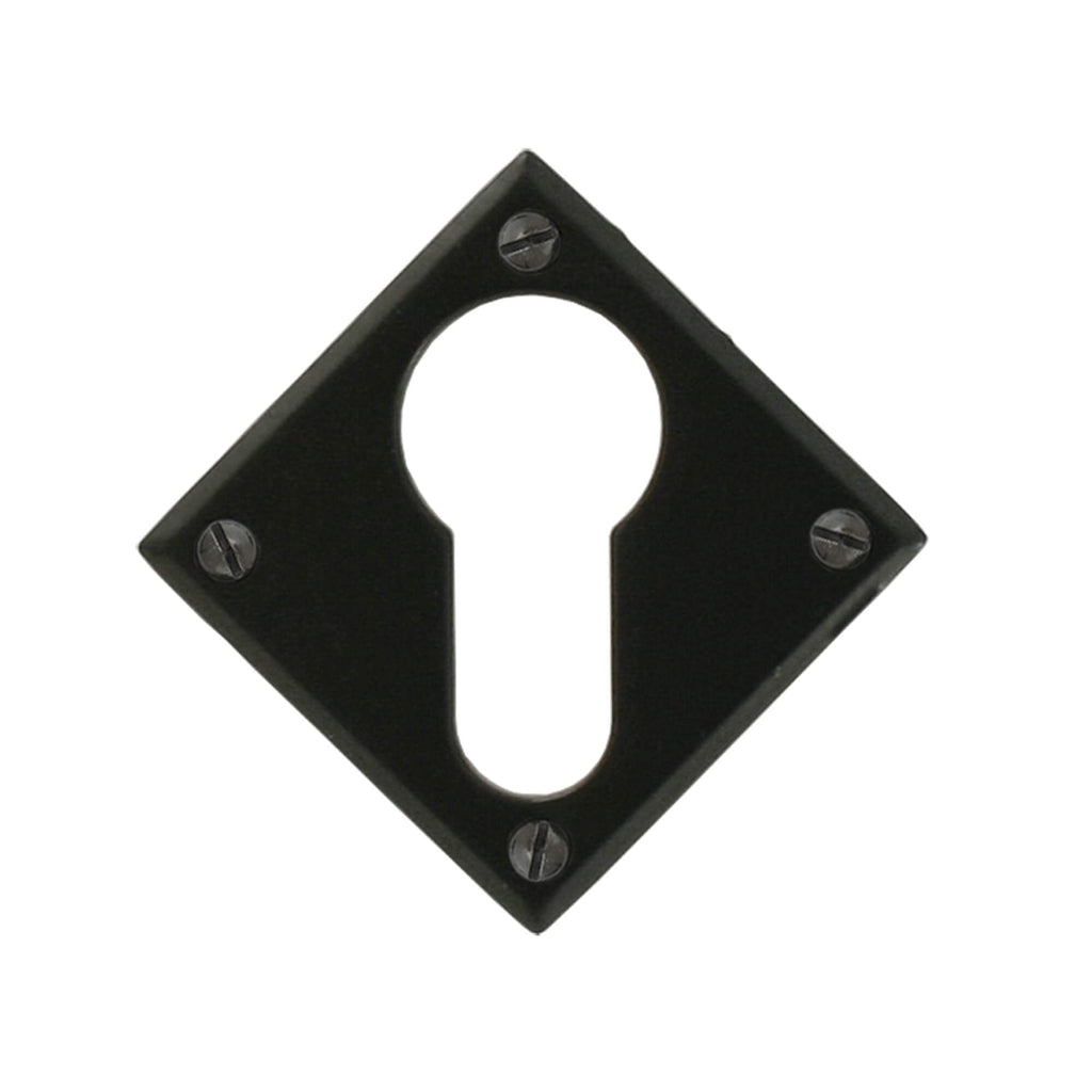 Black or Pewter Avon Escutcheons