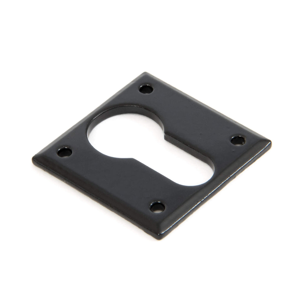 Black or Pewter Avon Escutcheons