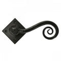 Black Monkey Tail Lever on Rosette