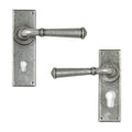 Pewter Regency Lever Lock Handles