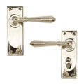 Polished Nickel Reeded Lever Handles