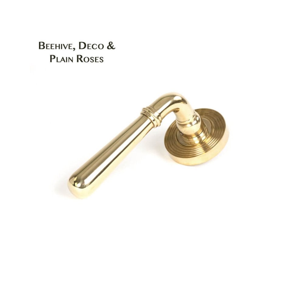 Newbury Polished Brass Lever on Covered Rose
