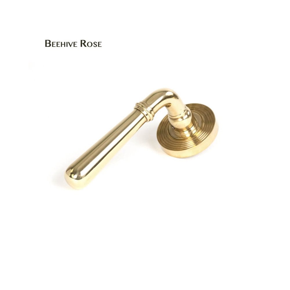 Newbury Polished Brass Lever on Covered Rose