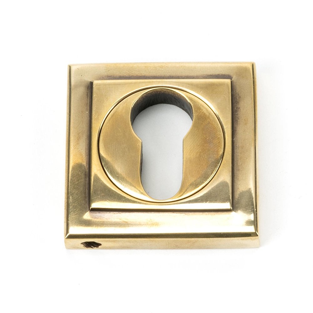 Aged Brass Square Euro Escutcheon